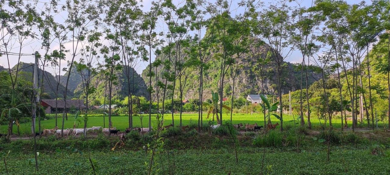 Trang An Retreat Ninh Binh Exterior foto